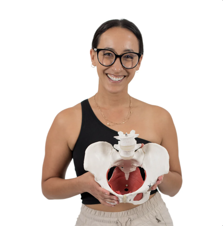 pelvic wands and eggs